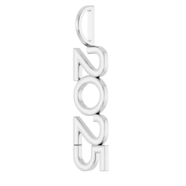 2025 Year Charm/Pendant