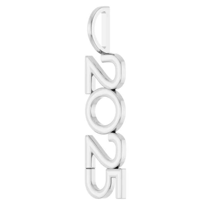 2025 Year Charm/Pendant